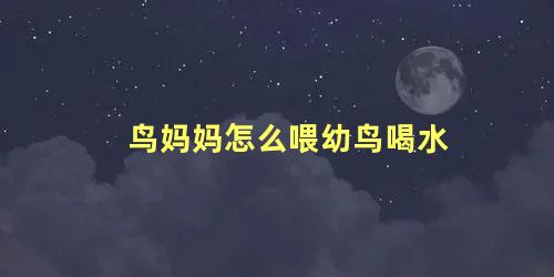 鸟妈妈怎么喂幼鸟喝水