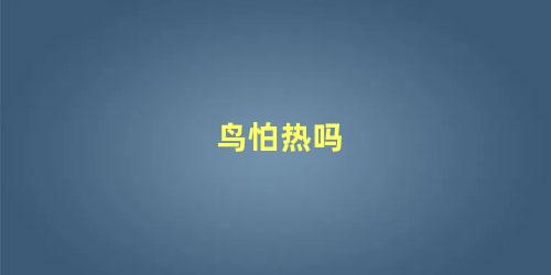 鸟怕热吗