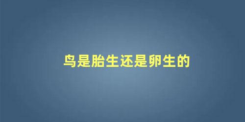 鸟是胎生还是卵生的
