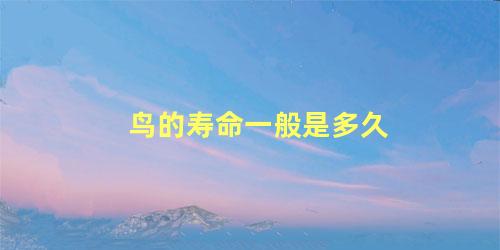 鸟的寿命一般是多久