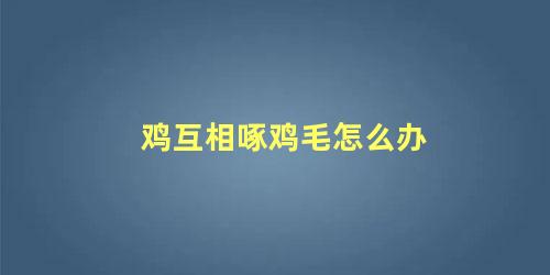 鸡互相啄鸡毛怎么办