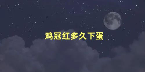 鸡冠红多久下蛋