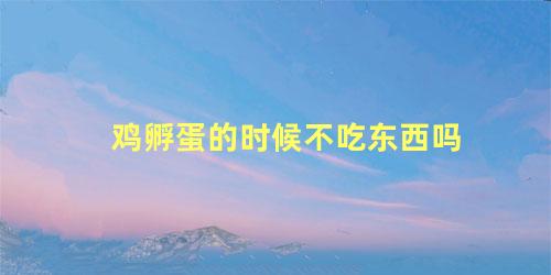 鸡孵蛋的时候不吃东西吗