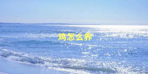 鸡怎么养
