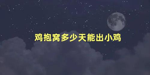 鸡抱窝多少天能出小鸡