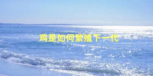 鸡是如何繁殖下一代