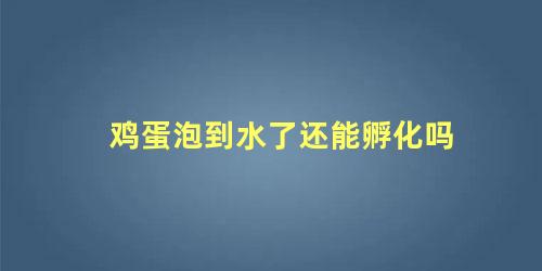 鸡蛋泡到水了还能孵化吗