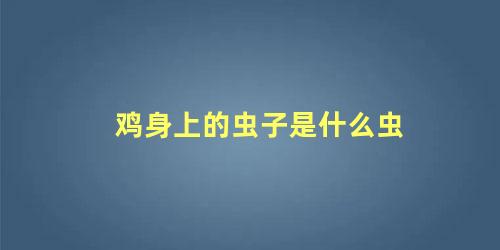 鸡身上的虫子是什么虫