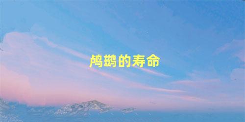 鸬鹚的寿命