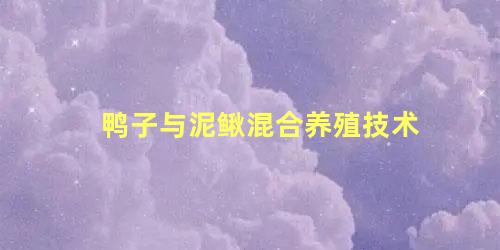 鸭子与泥鳅混合养殖技术