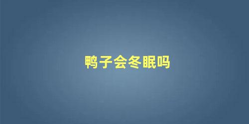 鸭子会冬眠吗