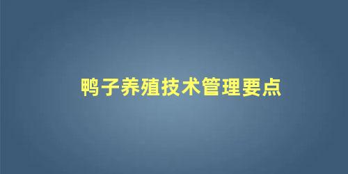 鸭子养殖技术管理要点