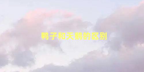 鸭子和天鹅的区别