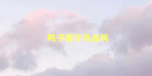 鸭子属于鸟类吗