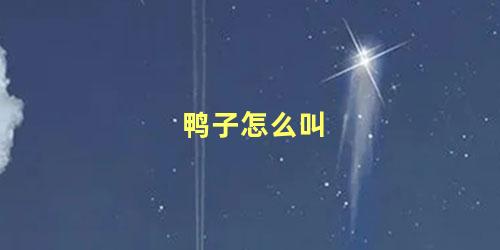 鸭子怎么叫