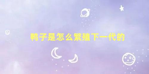 鸭子是怎么繁殖下一代的