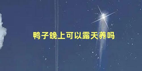 鸭子晚上可以露天养吗