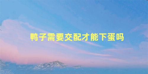 鸭子需要交配才能下蛋吗