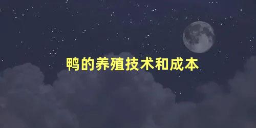 鸭的养殖技术和成本