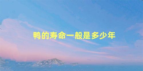 鸭的寿命一般是多少年
