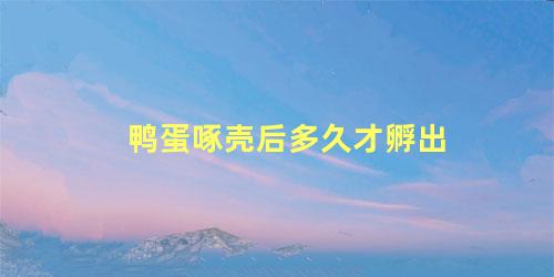 鸭蛋啄壳后多久才孵出