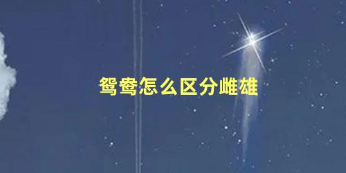 鸳鸯怎么区分雌雄