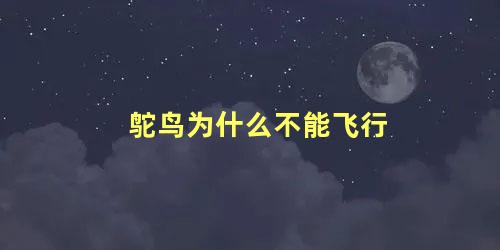 鸵鸟为什么不能飞行