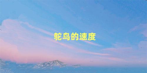 鸵鸟的速度