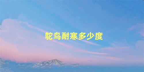 鸵鸟耐寒多少度