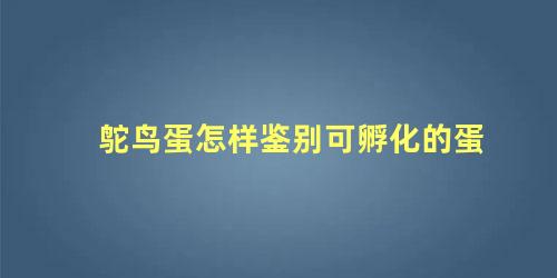 鸵鸟蛋怎样鉴别可孵化的蛋