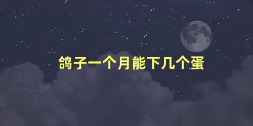鸽子一个月能下几个蛋