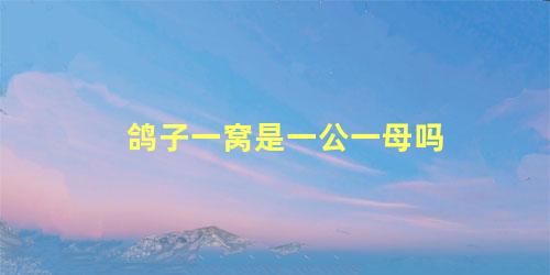 鸽子一窝是一公一母吗