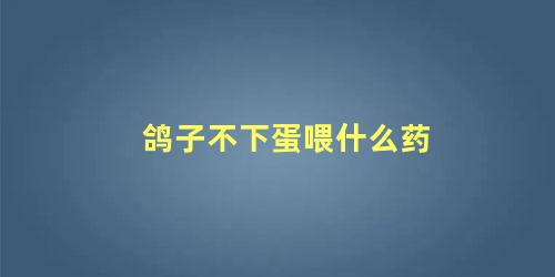 鸽子不下蛋喂什么药