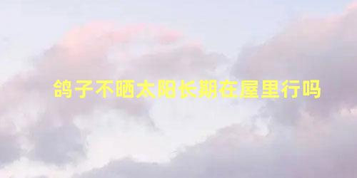 鸽子不晒太阳长期在屋里行吗