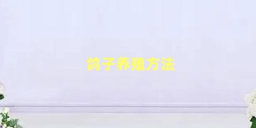 鸽子养殖方法