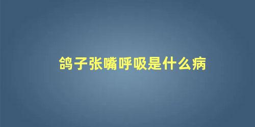 鸽子张嘴呼吸是什么病