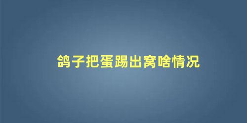 鸽子把蛋踢出窝啥情况