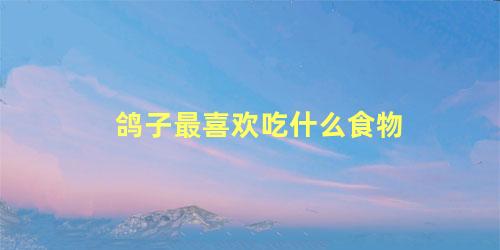 鸽子最喜欢吃什么食物