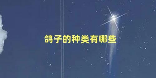 鸽子的种类有哪些