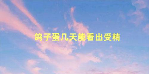 鸽子蛋几天能看出受精