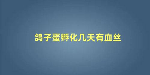 鸽子蛋孵化几天有血丝