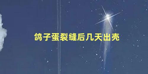 鸽子蛋裂缝后几天出壳
