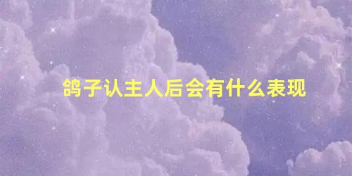 鸽子认主人后会有什么表现