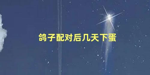 鸽子配对后几天下蛋