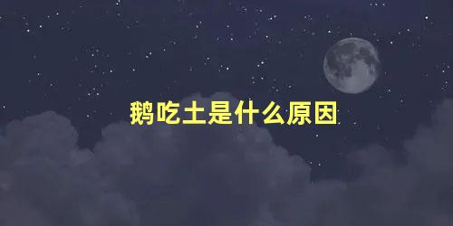 鹅吃土是什么原因