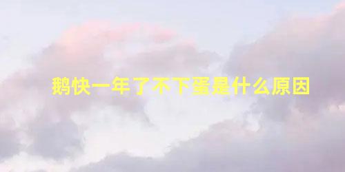 鹅快一年了不下蛋是什么原因