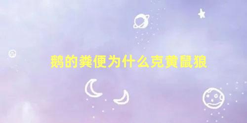 鹅的粪便为什么克黄鼠狼