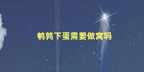鹌鹑下蛋需要做窝吗