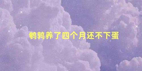 鹌鹑养了四个月还不下蛋