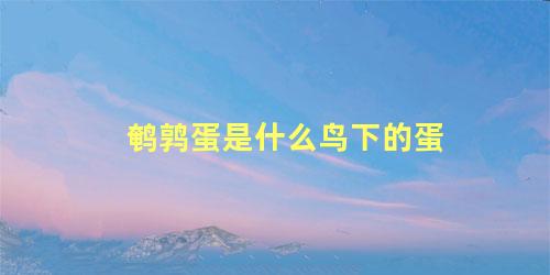 鹌鹑蛋是什么鸟下的蛋